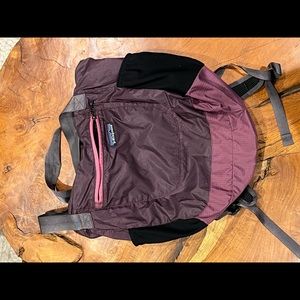 Patagonia burgundy lightweight, packable tote.